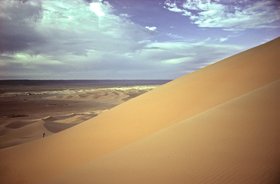 The Sahara Sounds