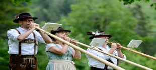 Alphornbläser in Tracht mit Alphörnern drei Menschen mit Instrument