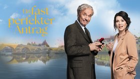 Ein fast perfekter Antrag 