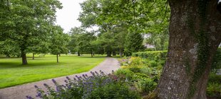 Foto Park mit Bäumen