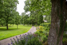 Foto Park mit Bäumen