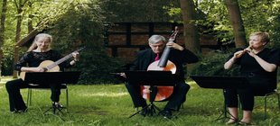 Vier Musiker im Park