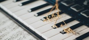 Klaviatur mit Notenblatt und einem Zweig