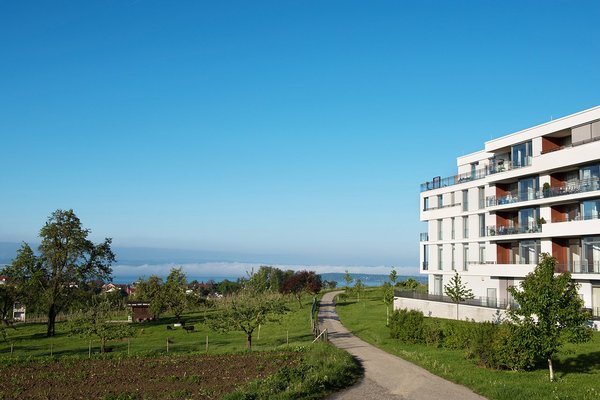 Grünfläche mit Bäumen neben dem Augustinum Meersburg