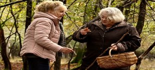 Zwei sich gegenüberstehende ältere Damen, die sich im Wald Pilze ansehen