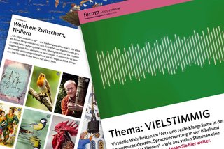 Wahrheiten im Netz, Glauben „unter Heiden“ und Klangräume im Augustinum 