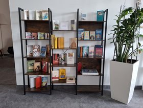 Ein Regal mit Büchern zum Thema Oasen