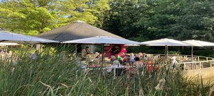 Teichlandschaft im Park