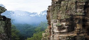 Vietnamesische Landschaft mit Felsen und Wald