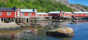 Rot gestrichene Holzhäuser auf den Lofoten; im Vordergrund Wasser, im Hintergrund bewaldete Berge