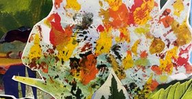 Farb-Oasen Farb-Oasen