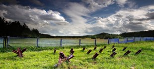 verrostete Grenzbefestigung vor Zaun auf Wiese