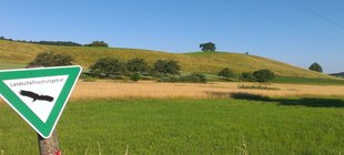 Landschaftsbild von Drumlins