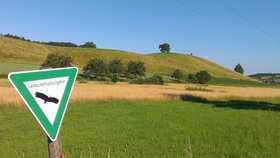 Landschaftsbild von Drumlins