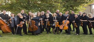 Neuenheimer Kammerorchester auf grüner Wiese