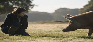 Foto Frau und Wildschwein