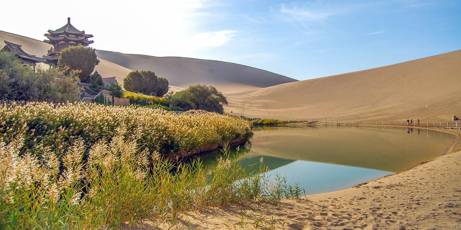 Quellwasseroase in der Wüste Gobi, China