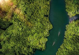 Luftaufnahme eines Flusses mit Wald, Waldufer wirkt wie ein Gesicht