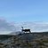 weite Landschaft mit Elch