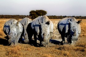 Afrika – Namibia & Botswana