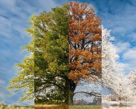 Natur im Wandel der Zeit