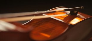Teil einer Violine