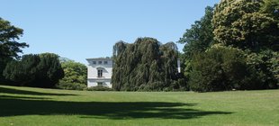 Vortrag über die Gartenkultur in Hamburg Jenischpark mit Bäumen und Ausschnitt des Hauses