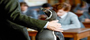 Pinguin im Klassenzimmer