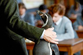 Pinguin im Klassenzimmer