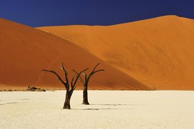 Namibia und Botswana