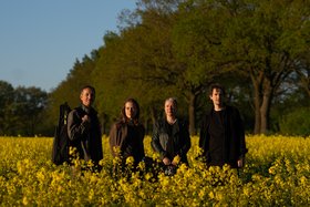 Vier Musiker stehen in einem gelb blühenden Rapsfeld