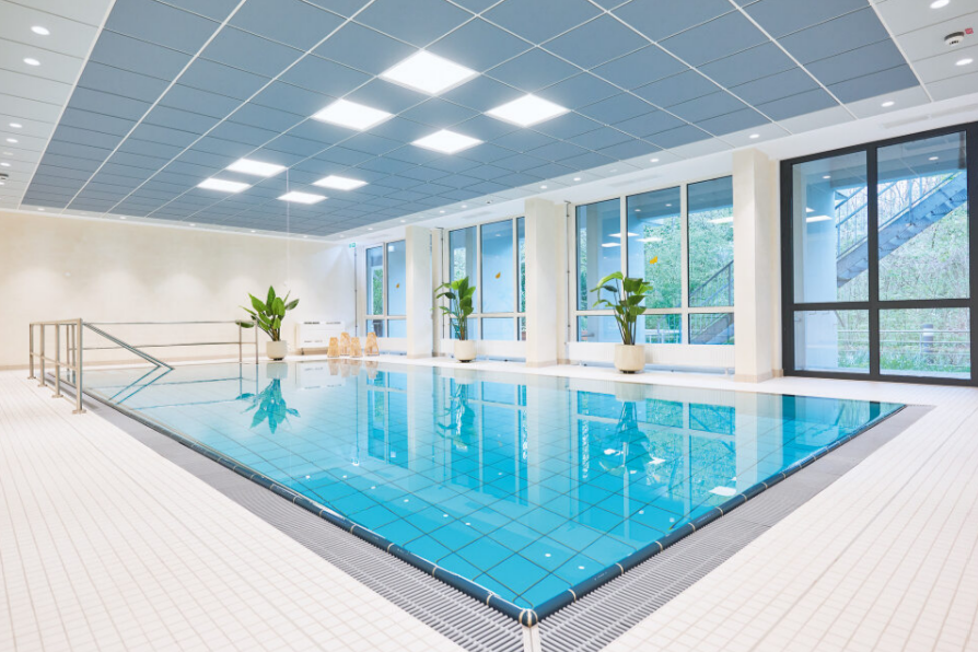 Ein Schwimmbad mit Pflanzen am Beckenrand und großen Fenstern 